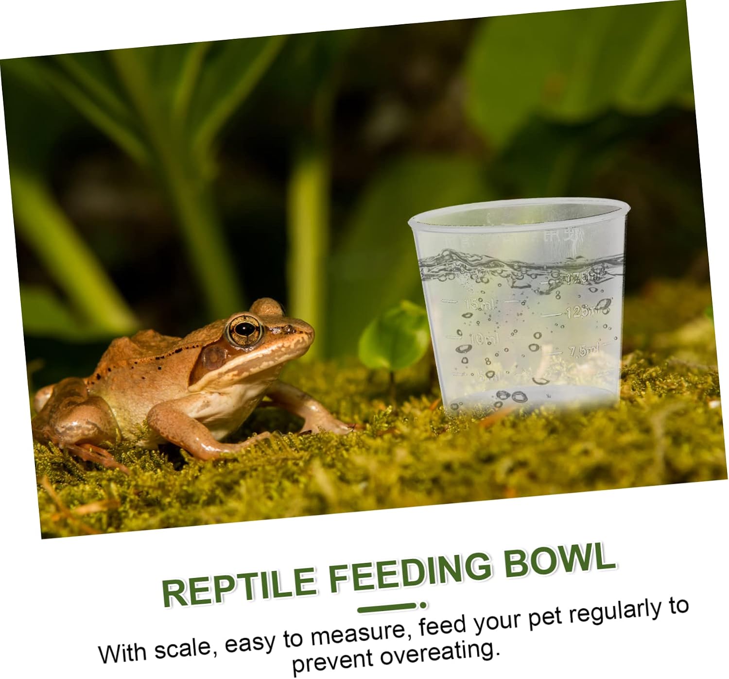 60pcs Reptile Feeding Cups Measuring Bowls for Lizard and Gecko Food Water Scale Design for Easy Measurement