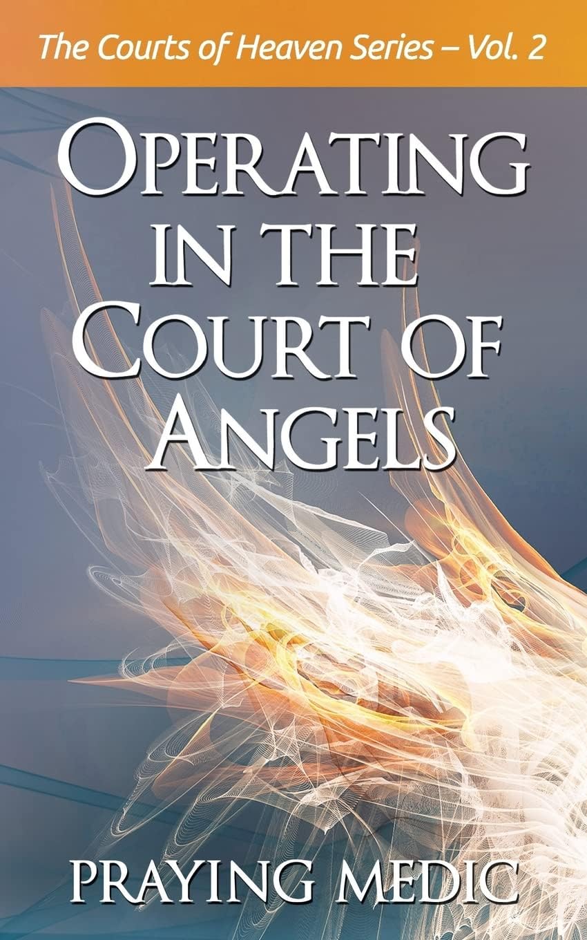 Operating in the Court of Angels (The Courts of Heaven) Paperback – September 6, 2017