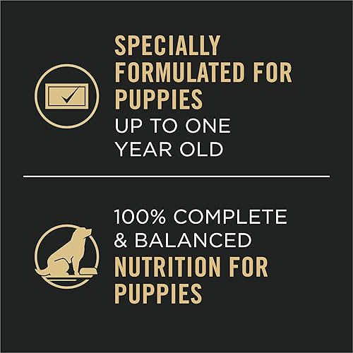 Miniatura 7 de Purina Pro Plan Development - Paquete variado de alimentos húmedos de pollo sin granos y sin granos, para cachorros de pavo - (12) latas de 13 onzas