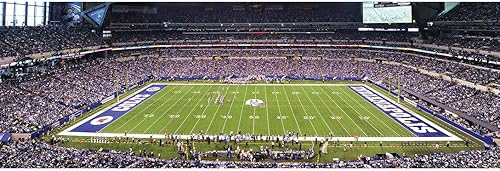 Vista 59 de Obras maestras NFL Estadio rompecabezas panorámica, 1000-Piece