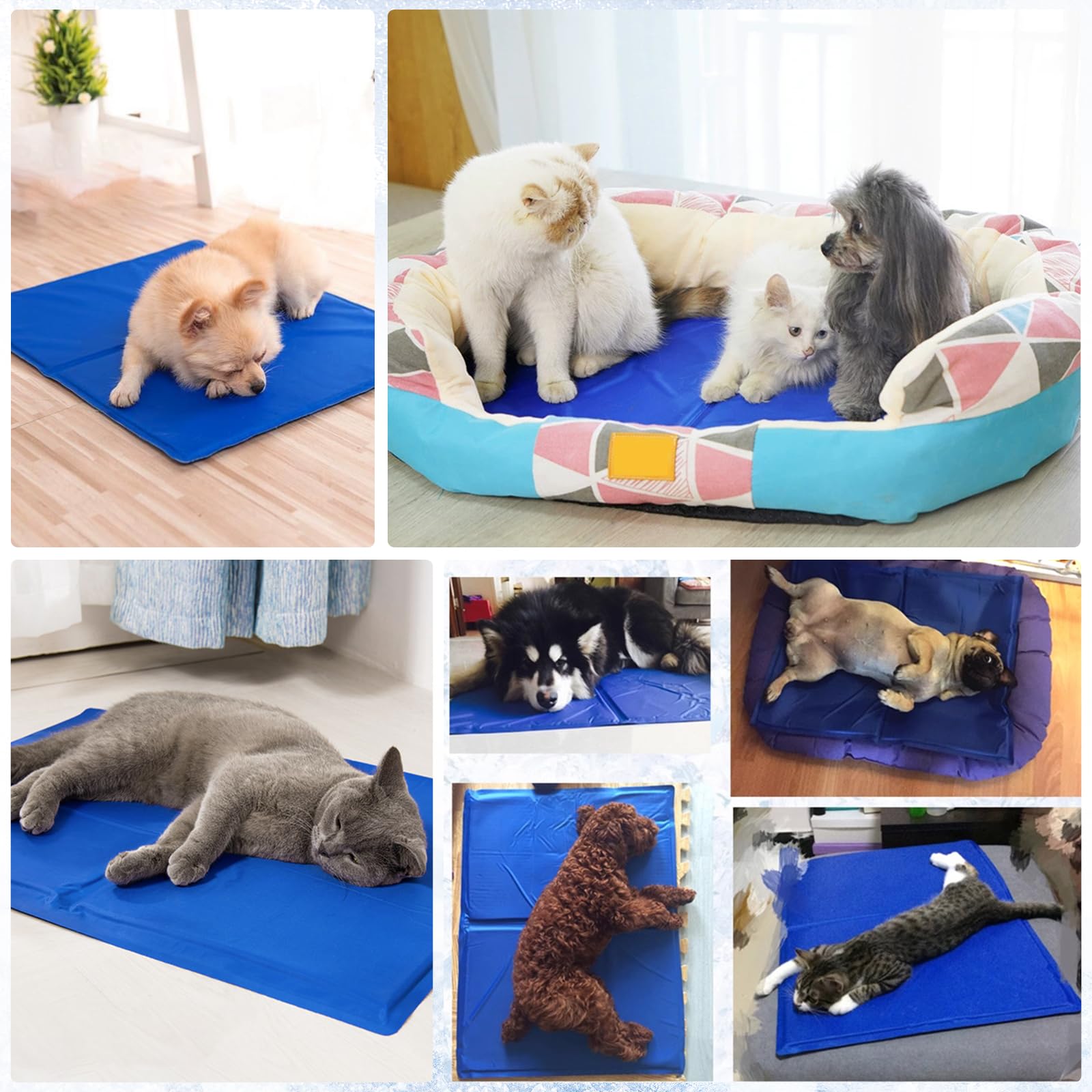 Tapis Rafraichissant Chien Auto Refroidissant avec Gel, Tapis Rafraichissant pour Chien et Chat Étanche avec Bords Renforcés, Tapis Refroidissant Pliable pour Panier Chien Canapé Voiture 65 x 50 cm