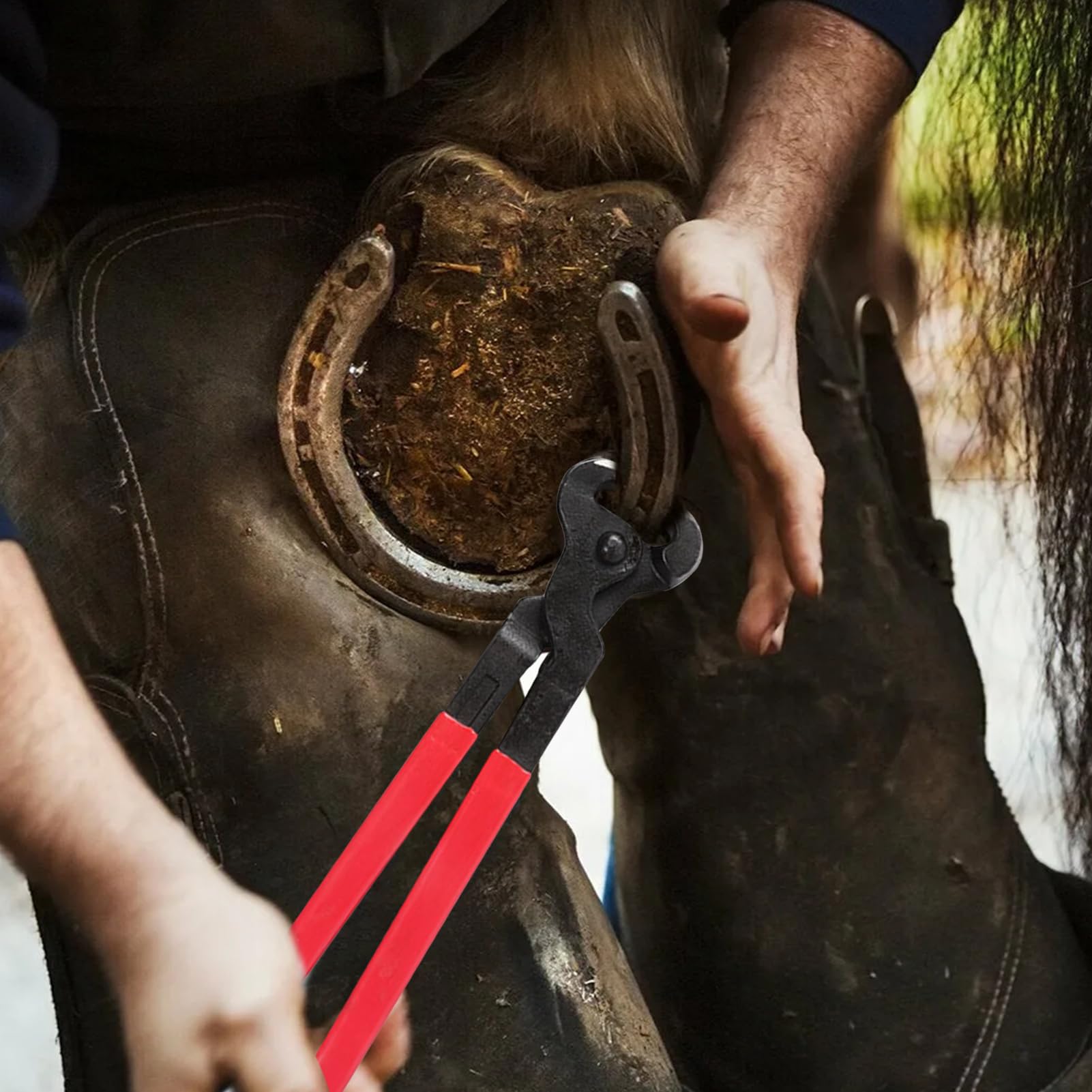 Kit Attrezzi per rifinitura Zoccoli Maniscalco per Cavalli, Attrezzi Professionali per rifinitura Zoccoli Cavalli, cesoie in Metallo, tronchesi per Zoccoli da Maniscalco