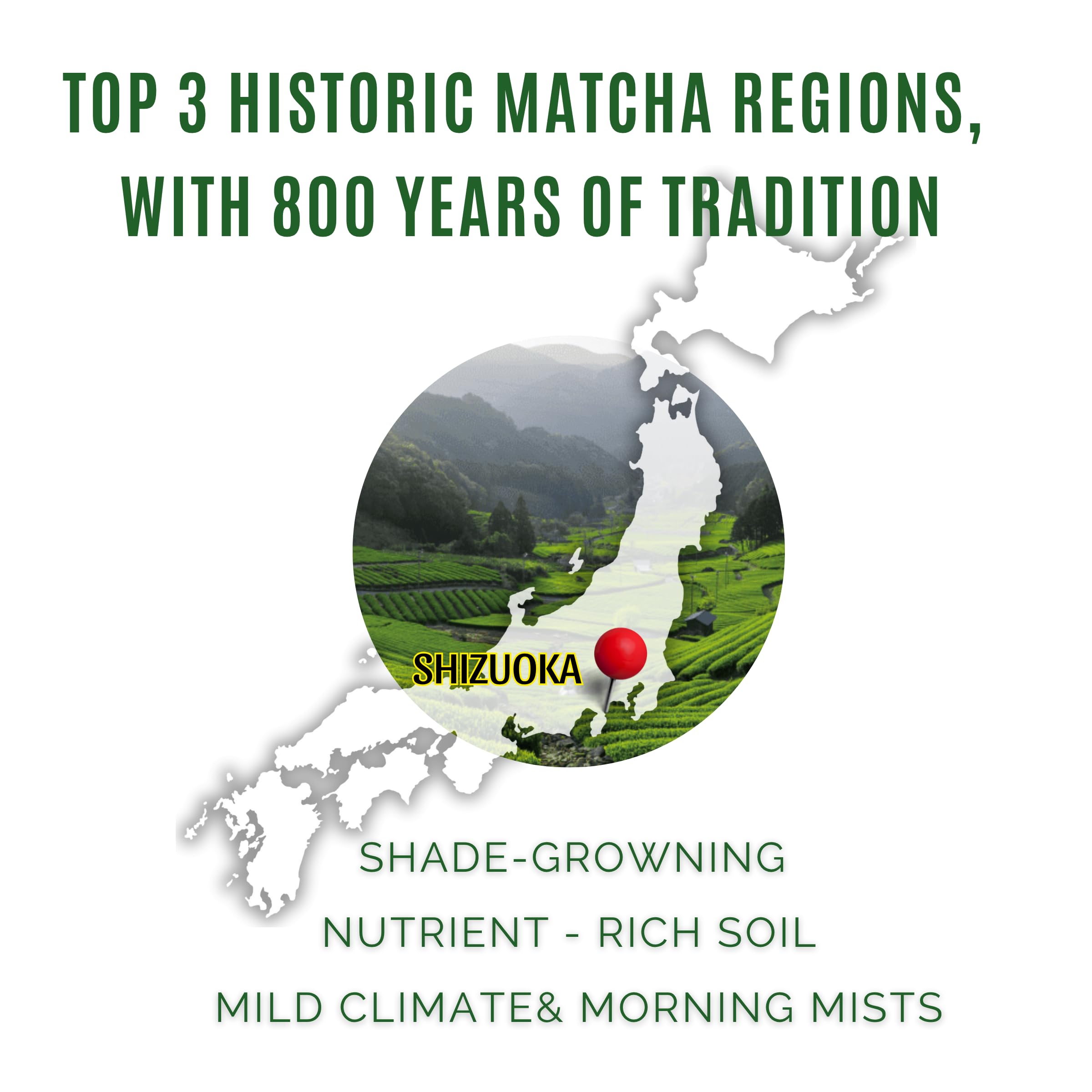 Satoen Authentic Japanese Ceremonial Grade Matcha Powder - Ceremonial Matcha Green Tea Powder from 100 Spring Premium First — view 4