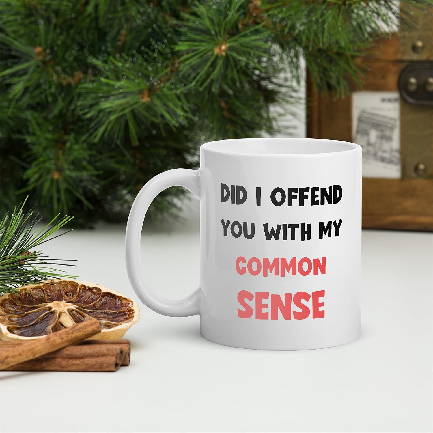 Did I Offend You Common Sense Mug, Funny Sarcastic Gag Gift White 11oz