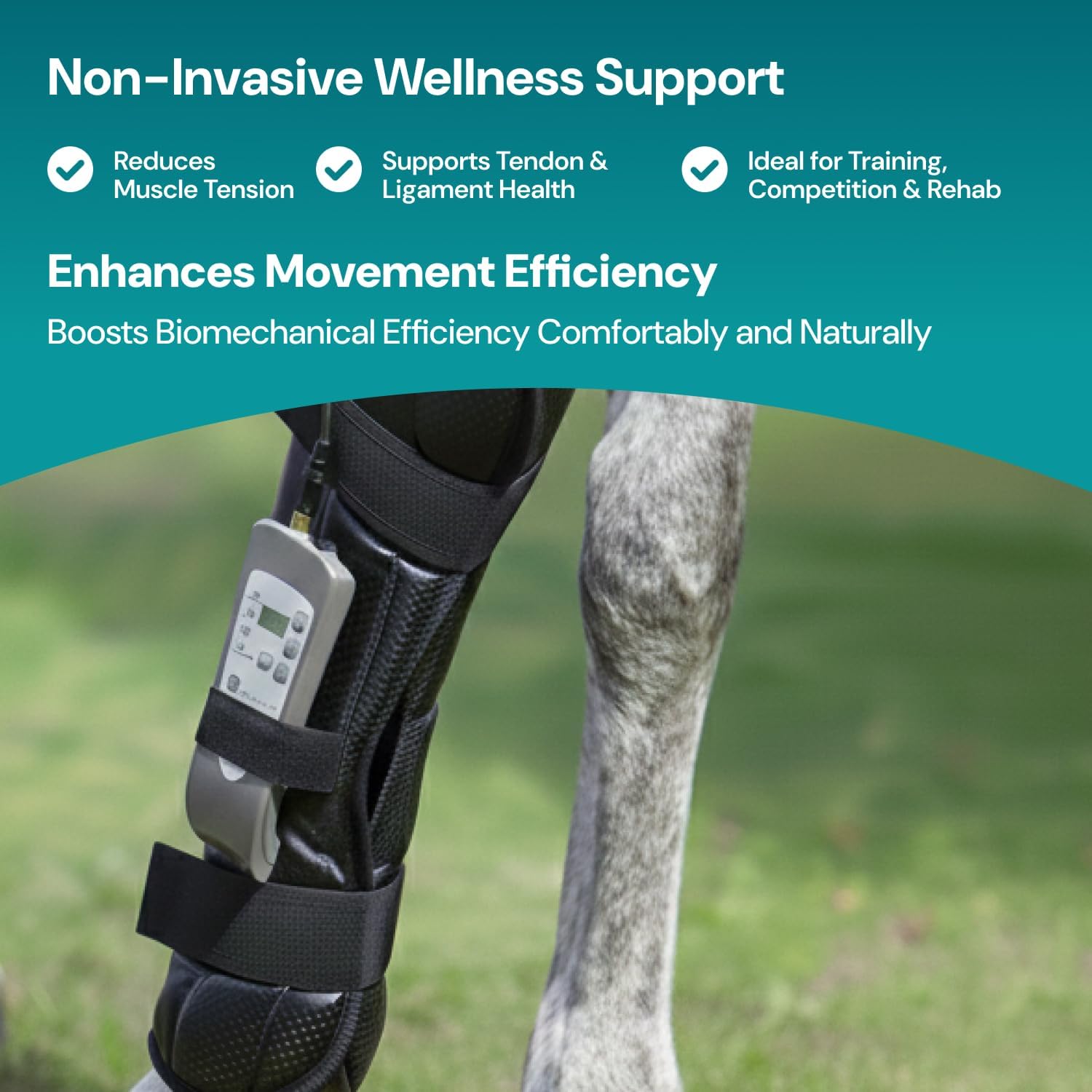 OMI Horses PEMF Front Leg Wrap for Horse – Advanced Therapy for Horses – Adjustable & Easy to Use for Joint, Muscle & Ligament Support