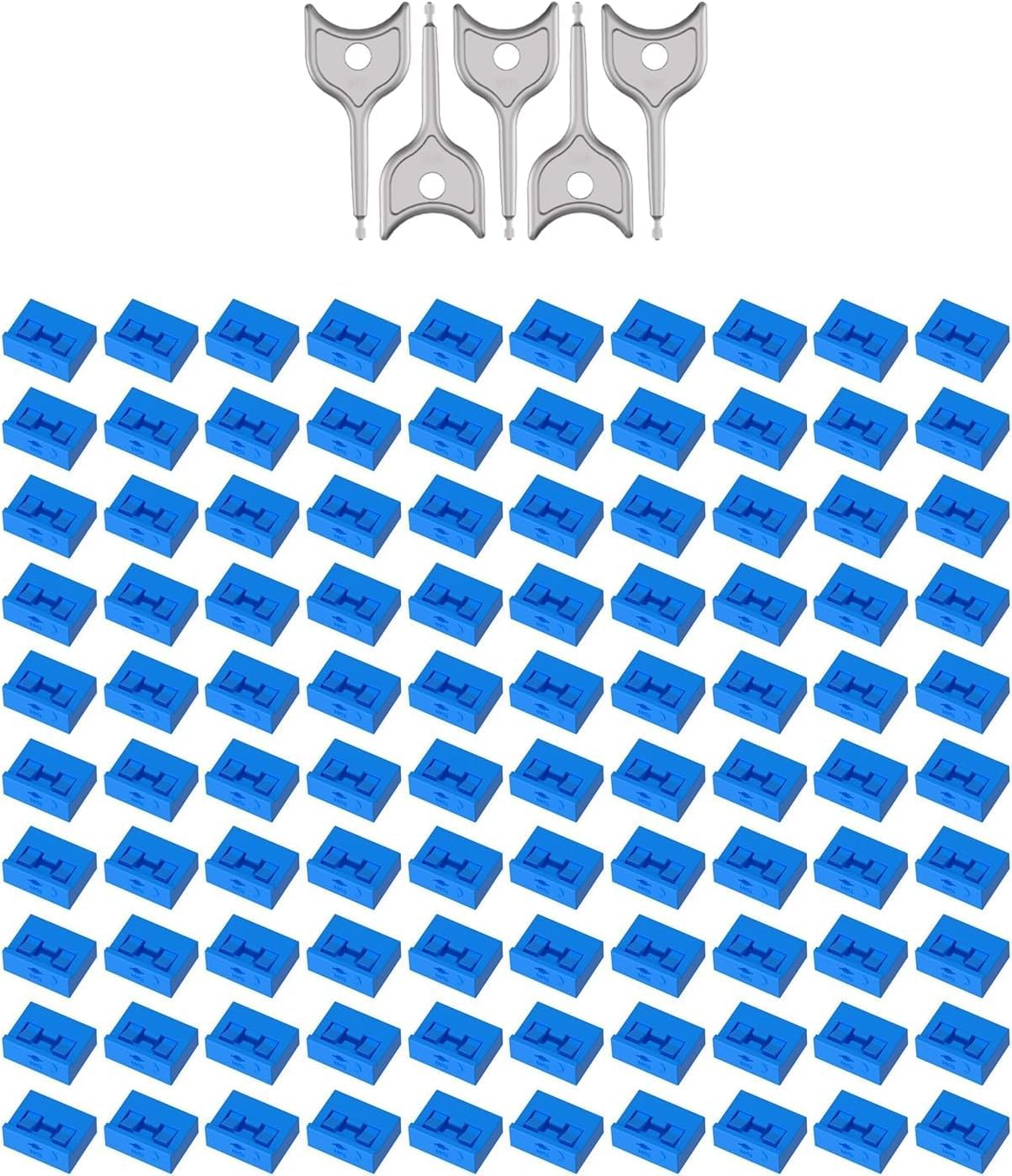 100PCS USB Port Blocker with 5 Key Locking Cap - Dust Blocker for USB-A Ports on Computers, TVs, Routers (Blue)