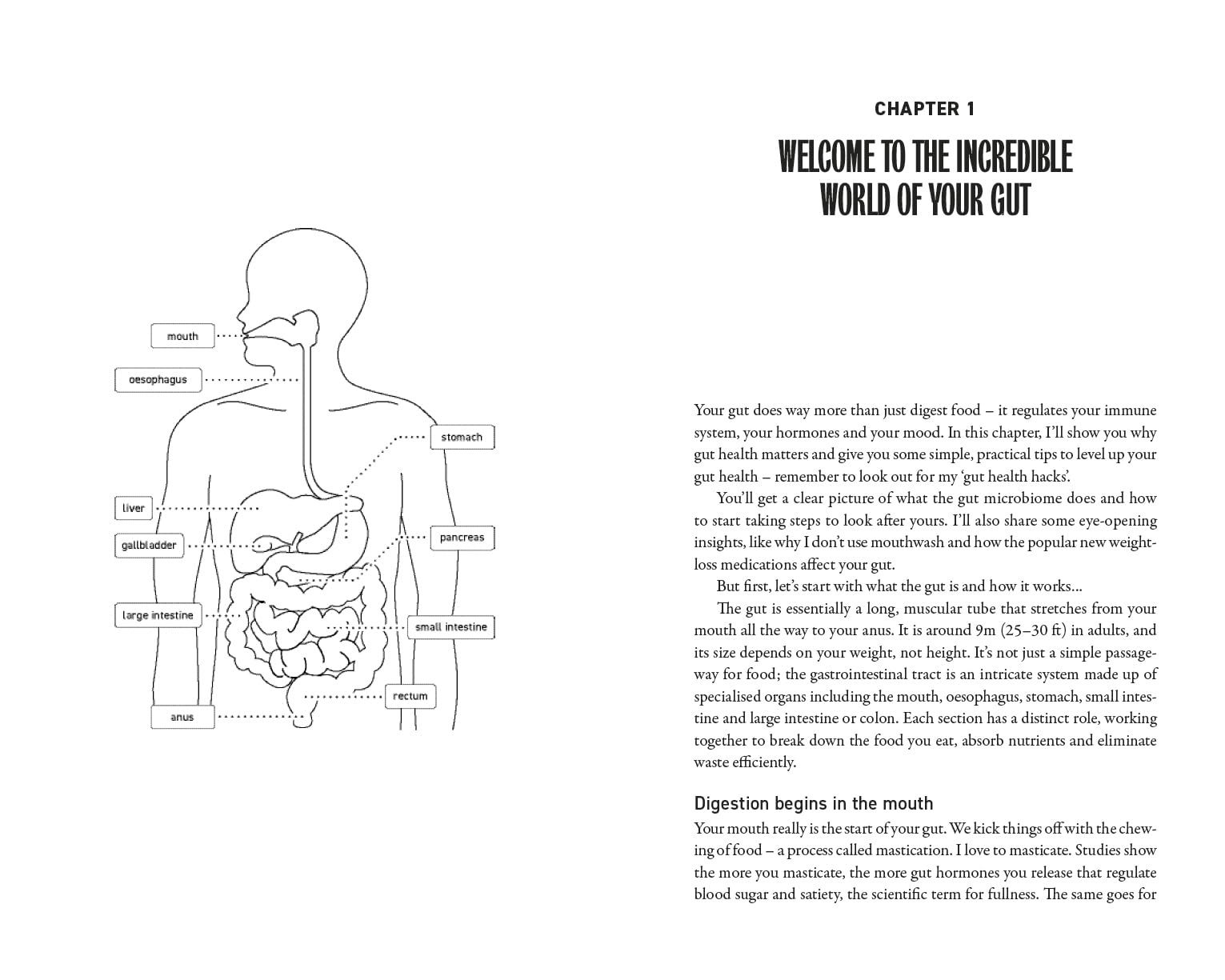 How to Gut Health: Science-backed hacks for immunity, metabolism and better sleep