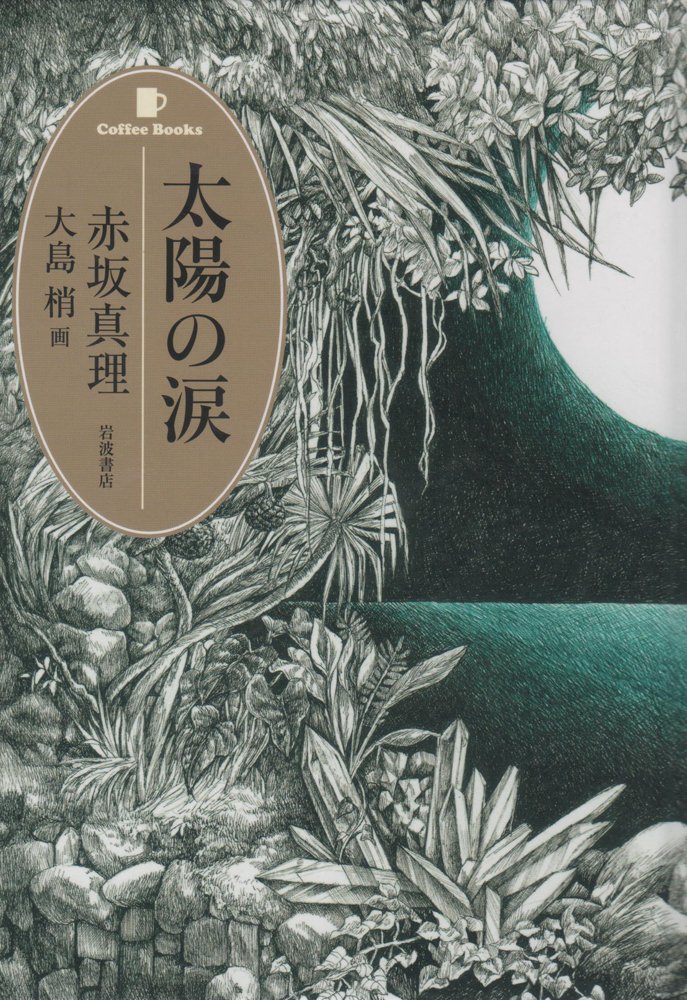 サイン入り 初版帯付 太陽の涙 著 赤坂真理 画大島梢 KOZUE OSHIMA