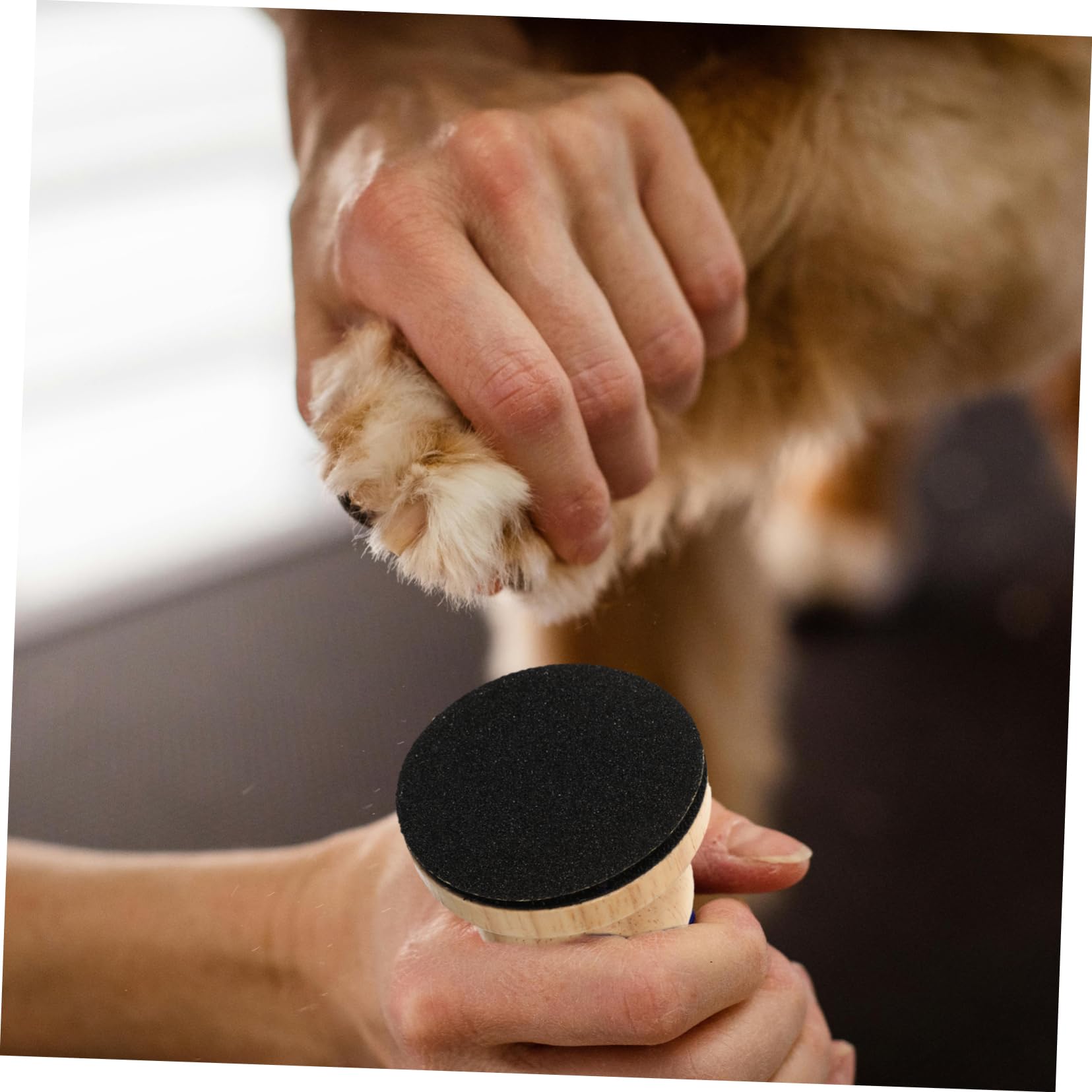 BESPORTBLE 5sätze Holz-nagelfeile Für Hunde Tragbare Krallenpflege Für Kleine Haustiere Inklusive Abnehmbarer Feile Für Einfache Handhabung Und Pflege Langlebig Und Praktisch Für