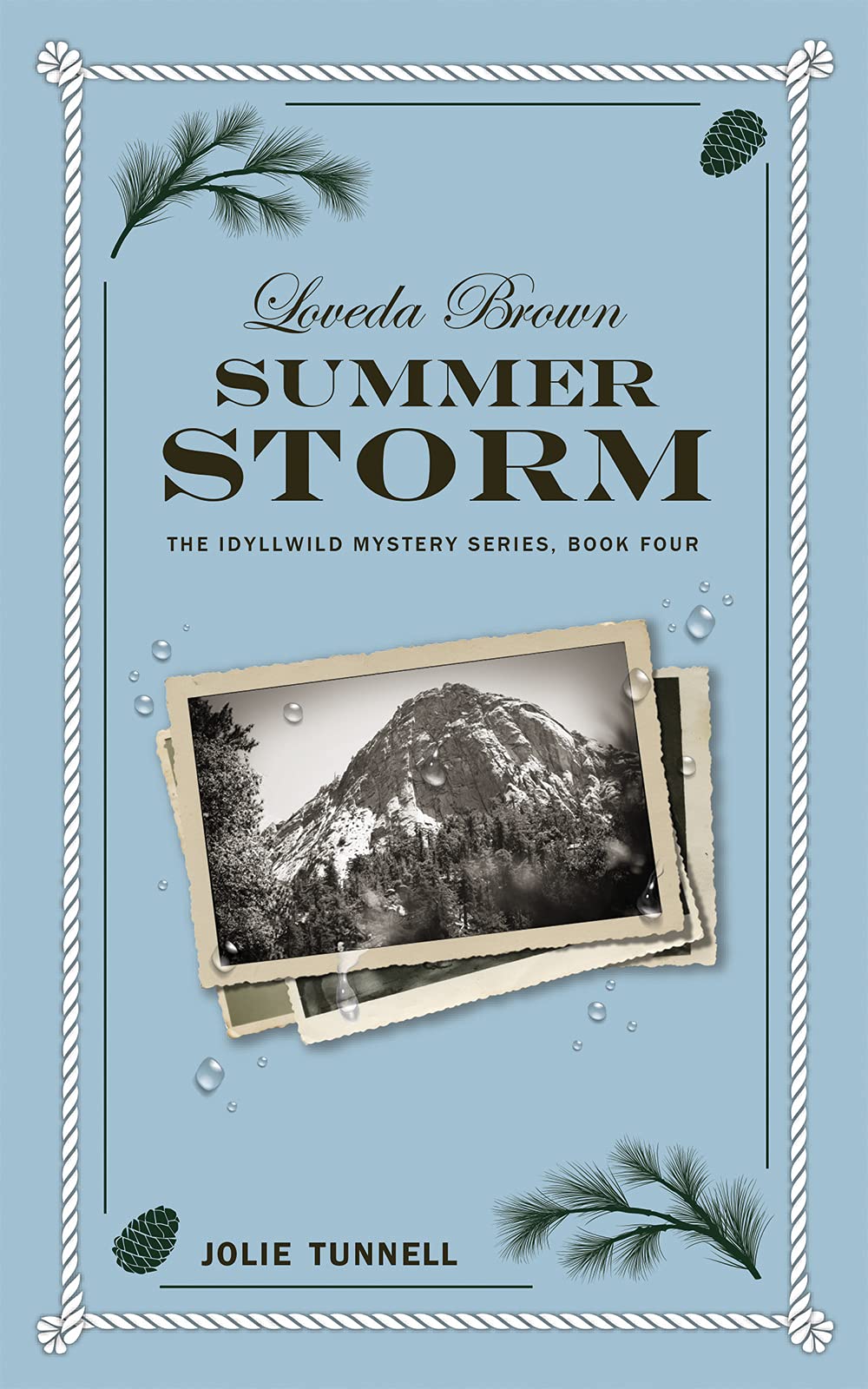 Loveda Brown: Summer Storm: The Idyllwild Mystery Series, Book Four