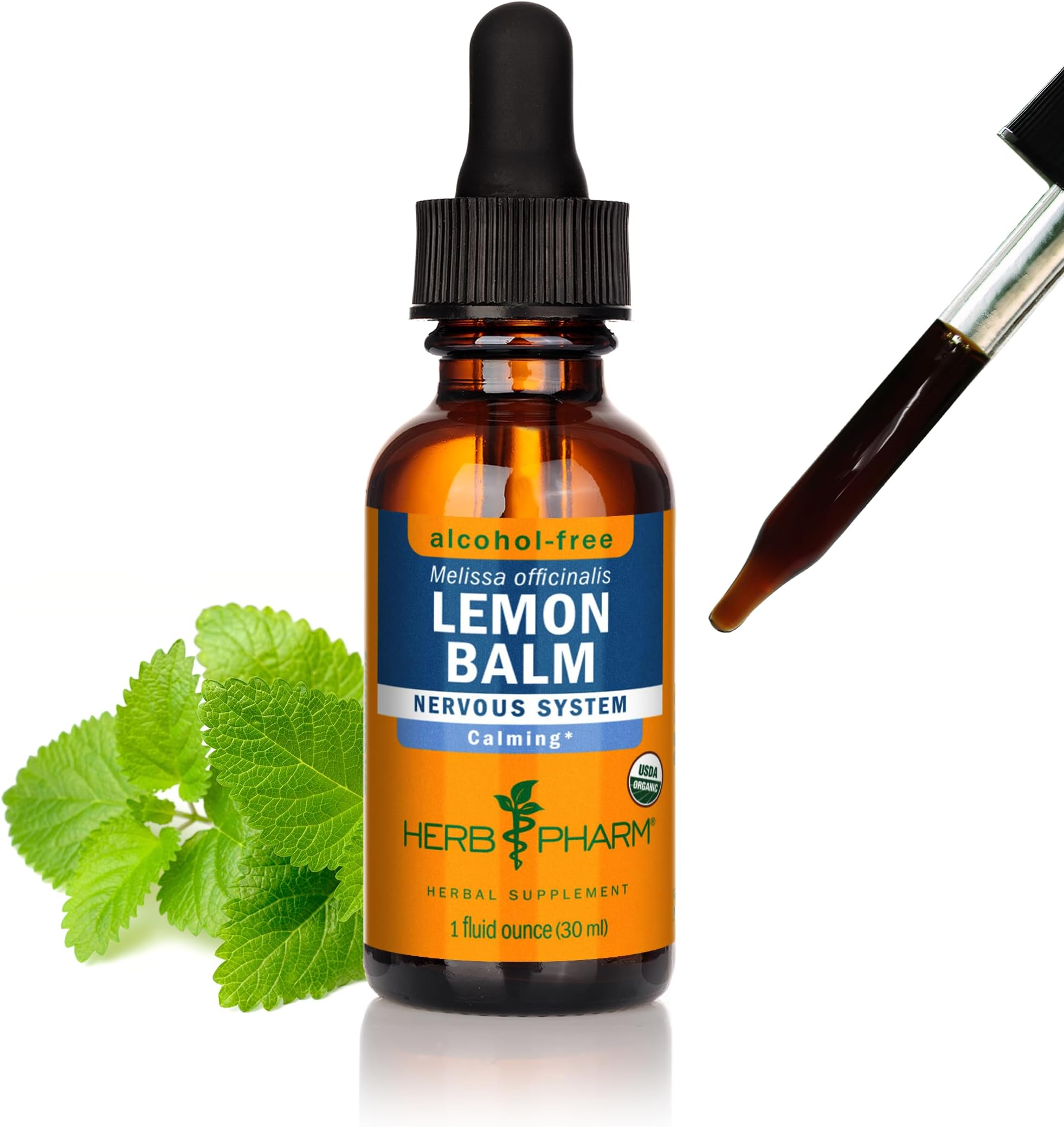 LEMON BALM GLYCERITE 1 OZ:01504