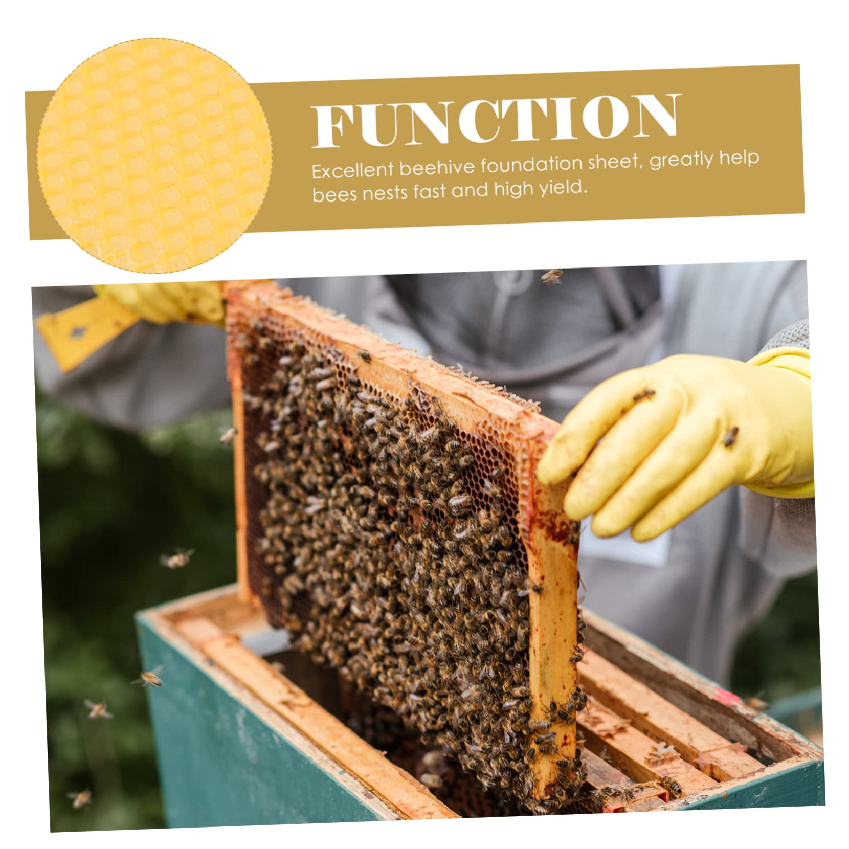 Abaodam 30 Láminas de Base de Colmena de Cera de Abeja Amarilla Suavidad Moderada y Alta Producción para Fabricación de Velas y Barnizado de Muebles