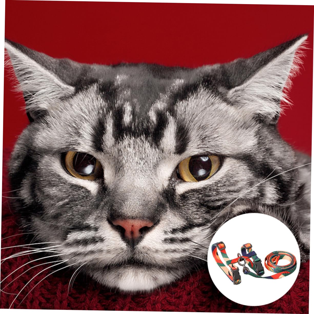 Toddmomy 3piezas Arnés para Gatos Correa Antiescape Material Resistente y Ligero para Paseos y Actividades Al Aire