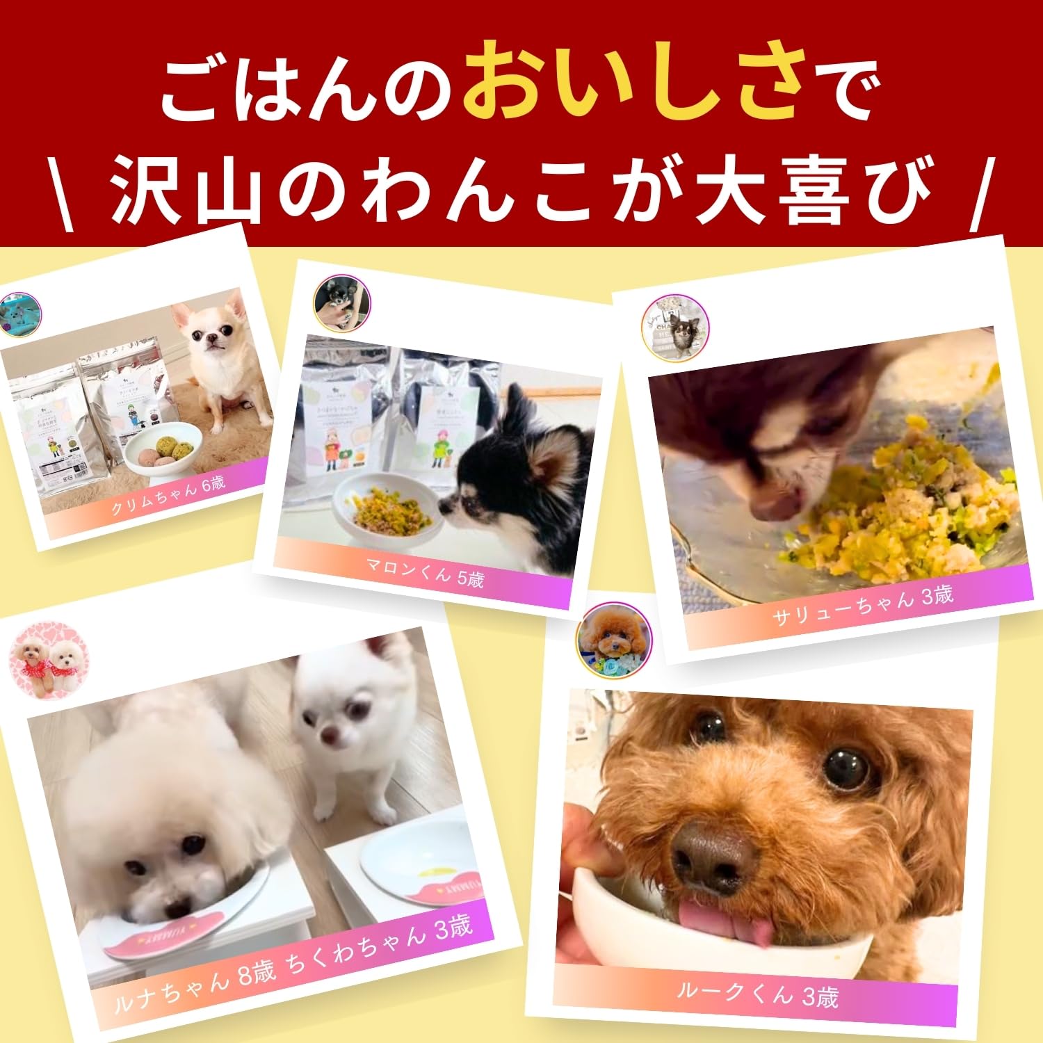 Amazon.co.jp: 【 100％無添加 】わんこの給食 (チキン単品) 手作り