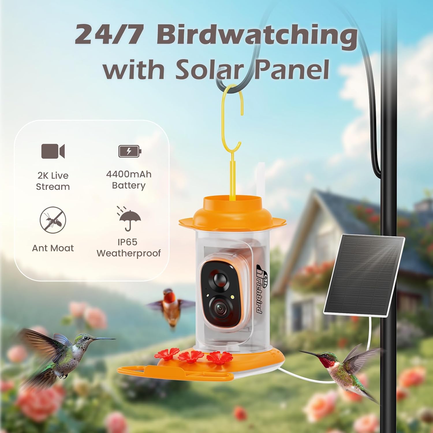 Smart Hummingbird Feeder with Camera Solar Powered, AI Identify, Instant Notification, Leakproof & Ant Moat Bird Feeder with Camera, Hummingbird Feeders for Outdoors, Gift for Bird Lovers (20 oz) - Image 2