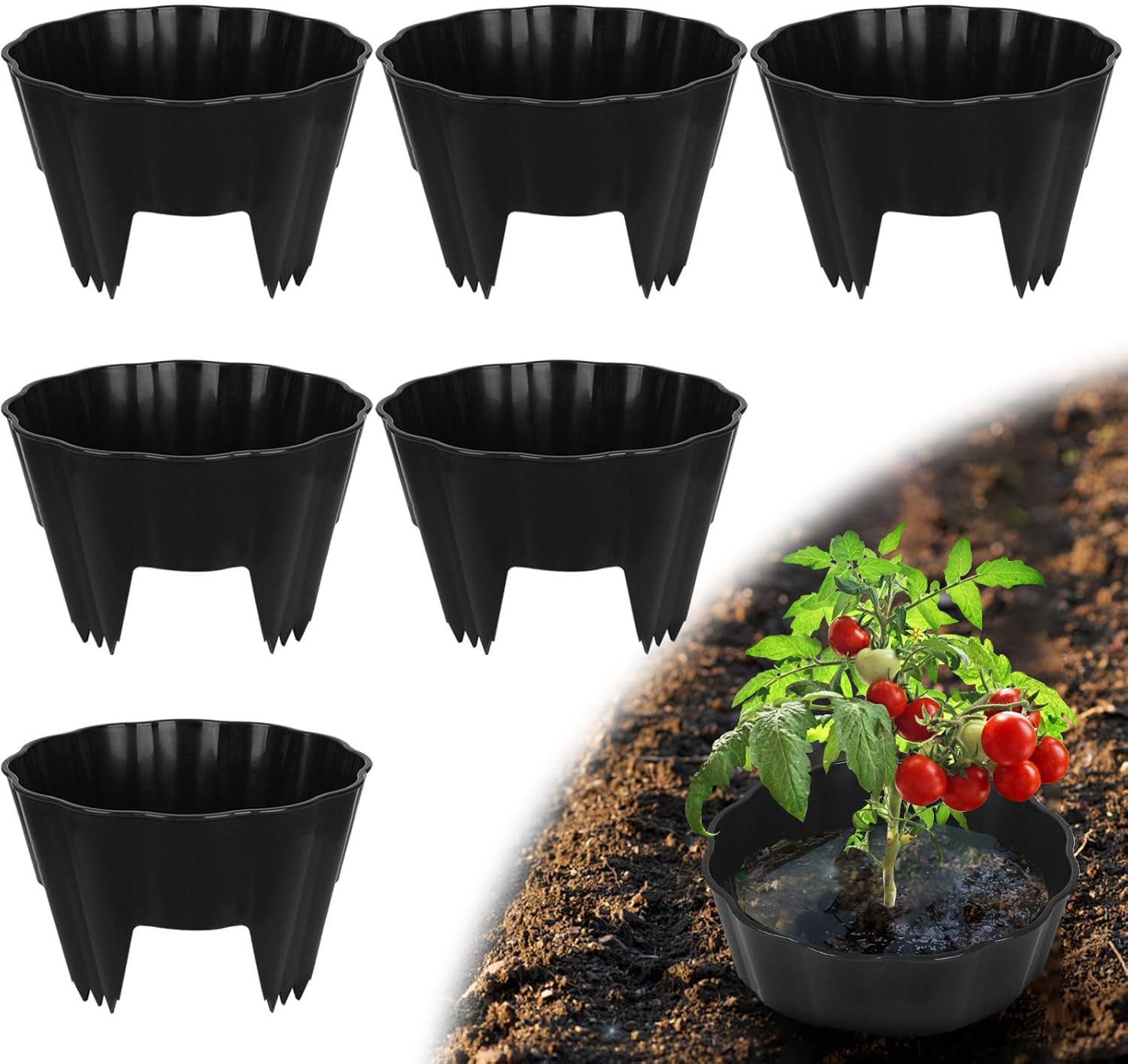 6 Pack of 10 Inch Planting Grow Rings, Planting Protective Round Garden Edging, Keeping Plants Separated, Weed Control and Directing Water to the Roots (10 Inch - 6 Pack - Black)