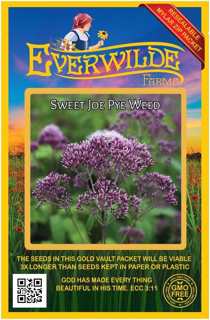 Everwilde Farms - 1 Oz Sweet Joe Pye Weed Native Wildflower Seeds - Gold Vault