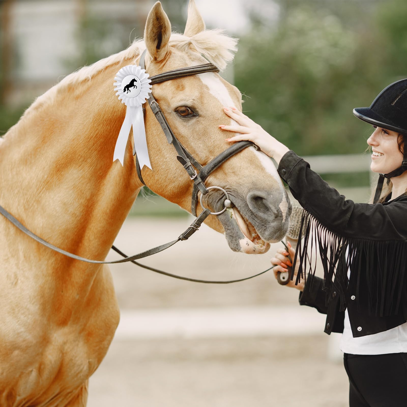 Paquete de 5 arcos de torneo para caballos, con doble roseta, arcos de premios para eventos ecuestres, coloridos