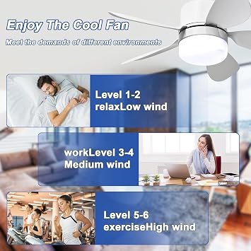 Socket Fan Light with Remote Control, Dimmable LED Screw-in Ceiling Fan