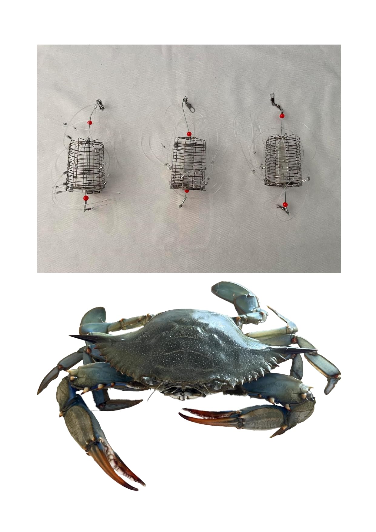Generico 3 Pezzi Trappola granchi Blu Pesca granchi