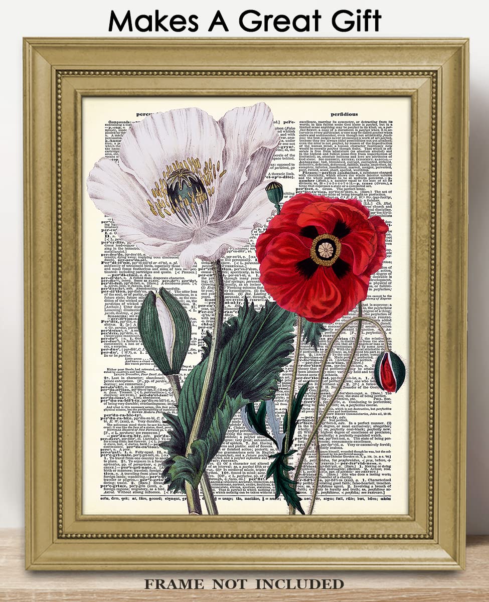 Amazon.com: Vintage Opium Poppy Botanical Wall Art, Dictionary
