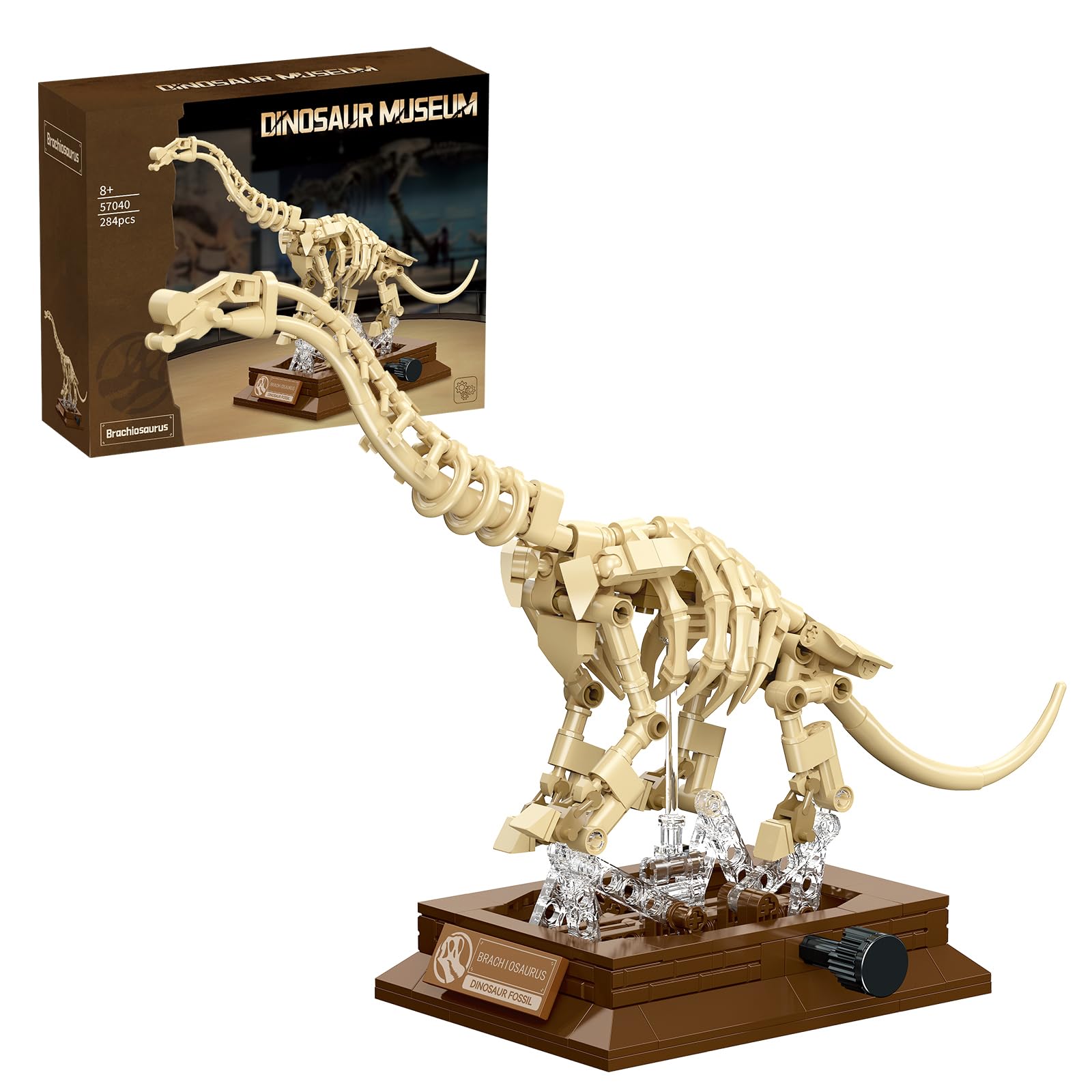 DRZYJ Brachiosaurus Dinosaur Fossil Building Set, 284Pcs Movable Brachiosaur Skeleton Model Kit with Museum Display Stand, Educational Giant Sauropod Toy for Kids 8+, Gift for Dinosaur Lovers