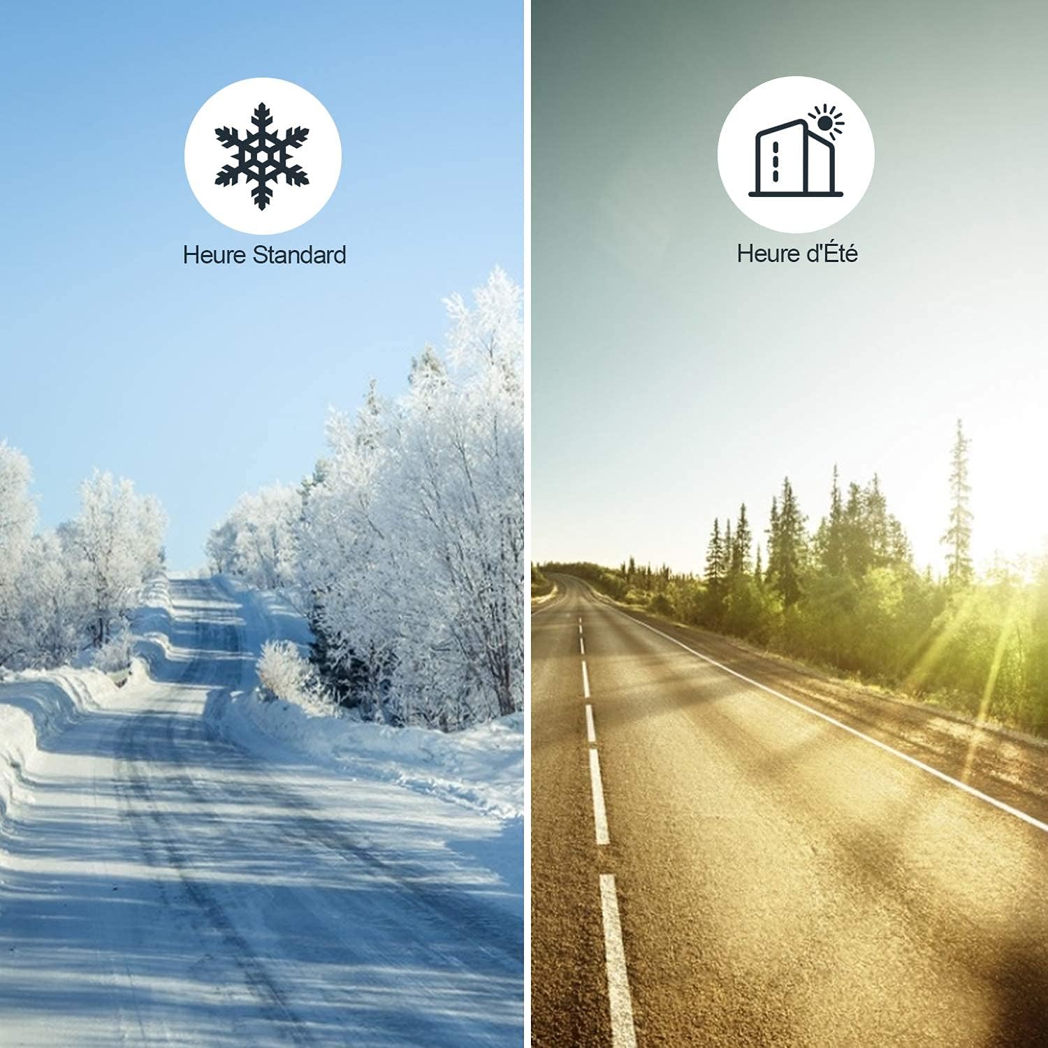 Comparison of Standard Time (winter) and Daylight Saving Time (summer)