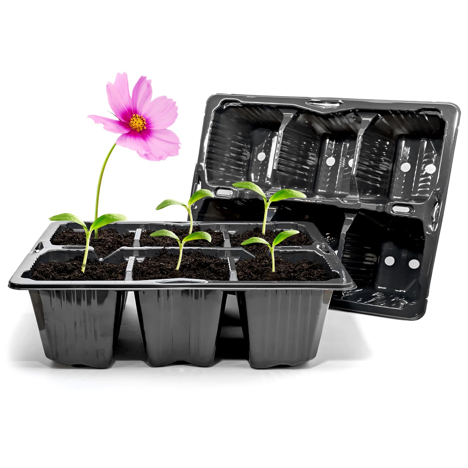 Elixir Gardens 50 x 6 Cell Reusable Seedling Germination Starter Bedding Plant Pack Inserts for Half Size Tray Propagator