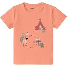 NAME IT Baby Boys' Nbmhico Ss Top Box T-Shirt