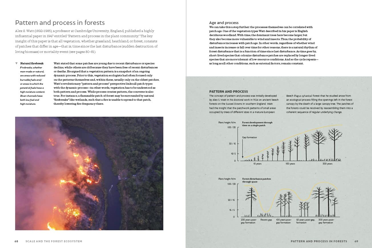 The World Atlas of Trees and Forests: Exploring Earth's Forest Ecosystems