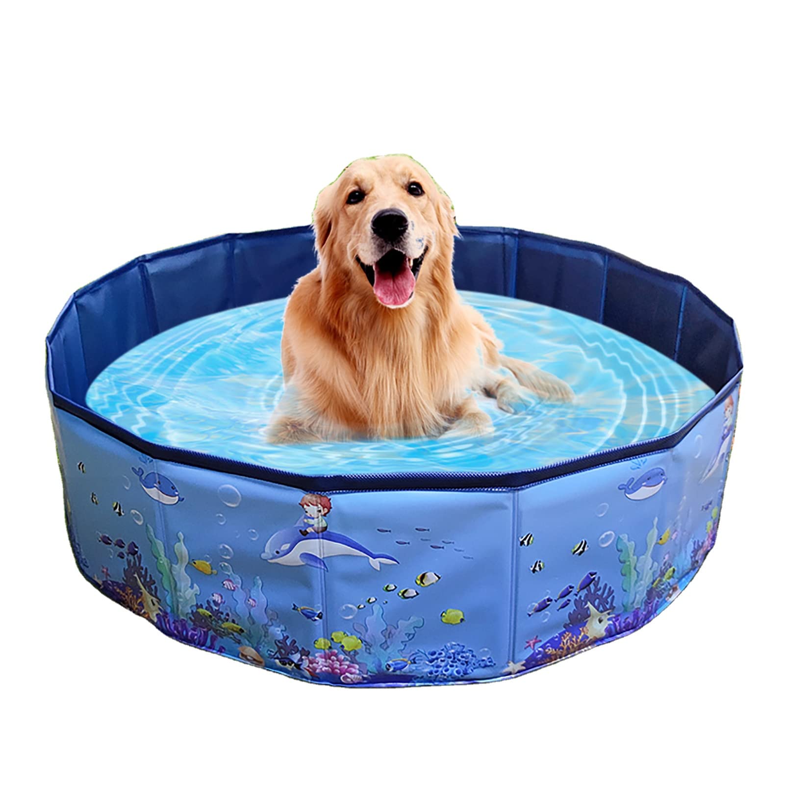 Buy Piscine pliable pour chien, piscine de bain pliable pour chien