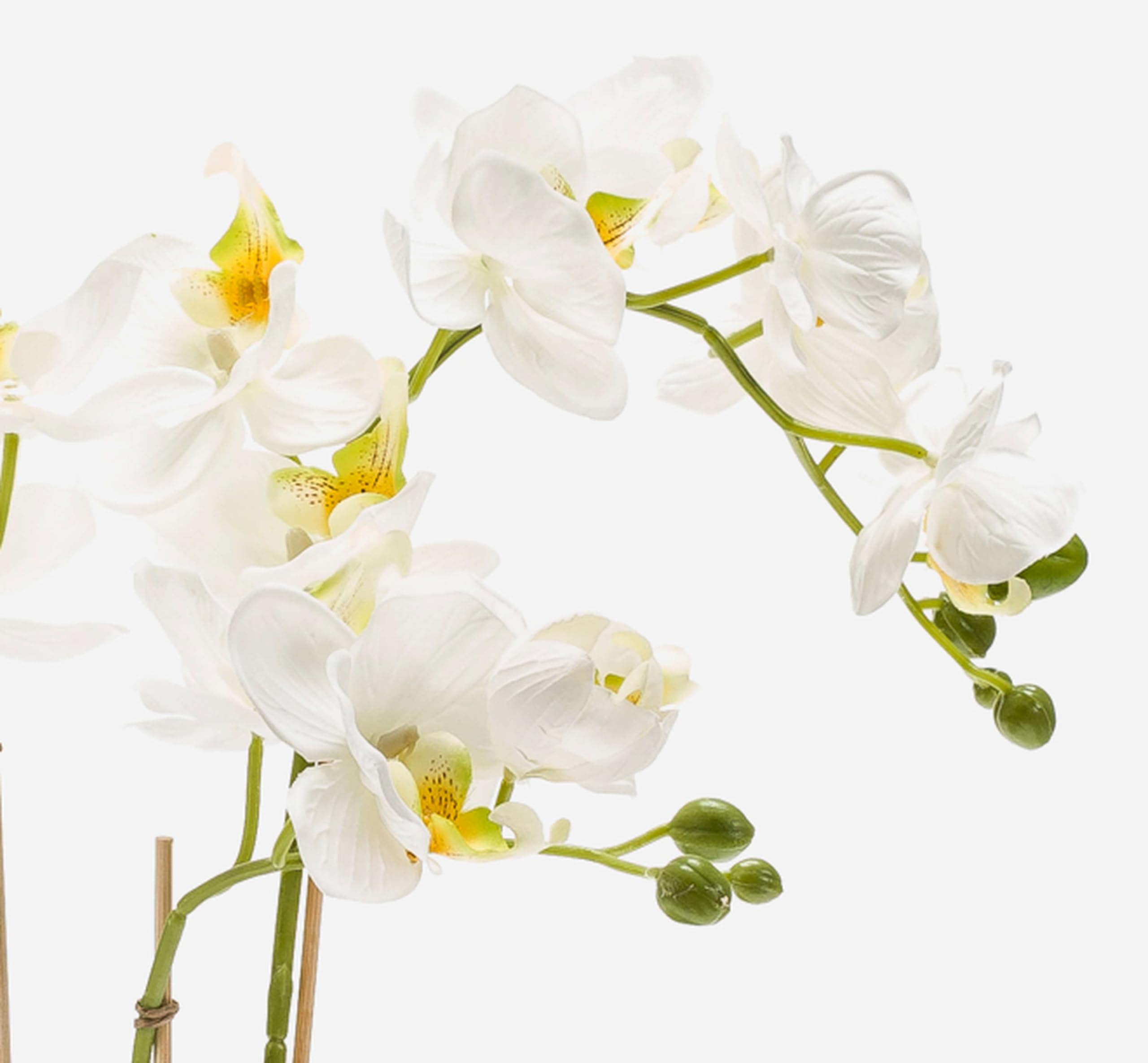 artplants Orquídea phalaenopsis Artificial Mina, Blanco, 60cm