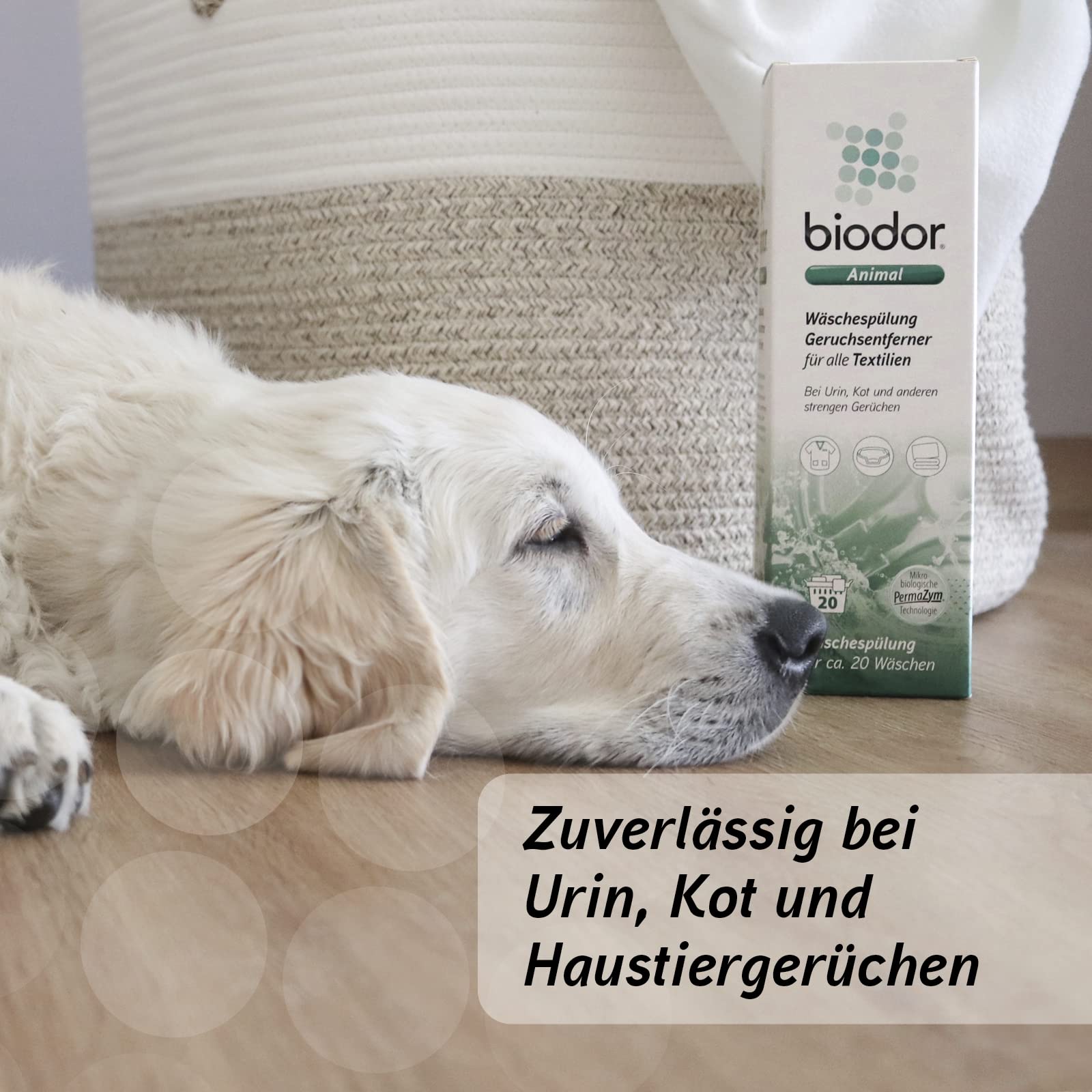 Biodor Animal płukanie prania 1 l neutralizator zapachów enzymatyczny środek czyszczący do usuwania plam