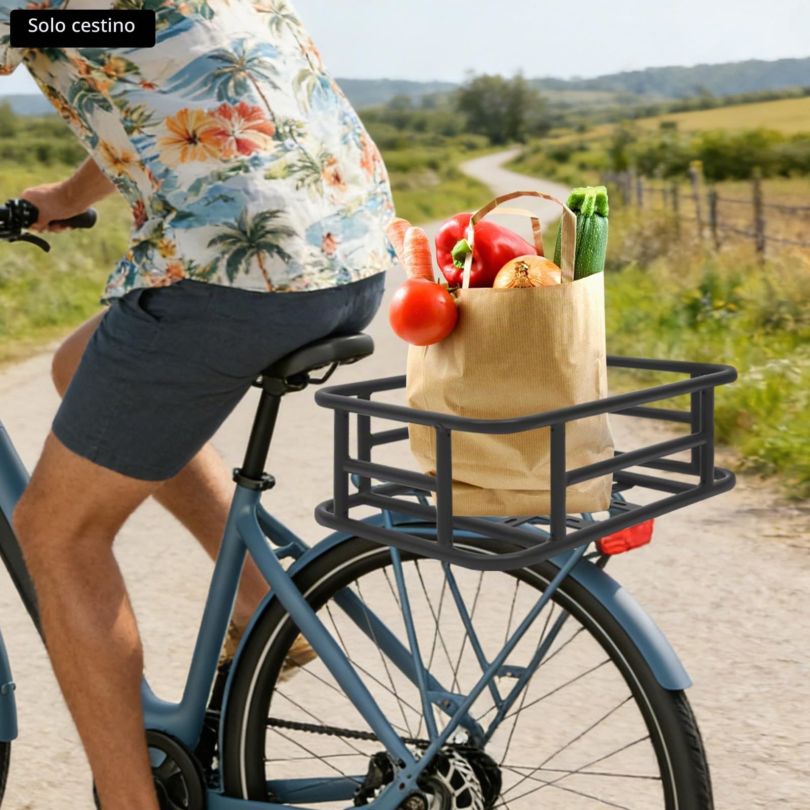 Cestino per bicicletta posteriore, universale, in metallo, fissaggio a 16 fori, carico 25 kg, adatto per mountain bike