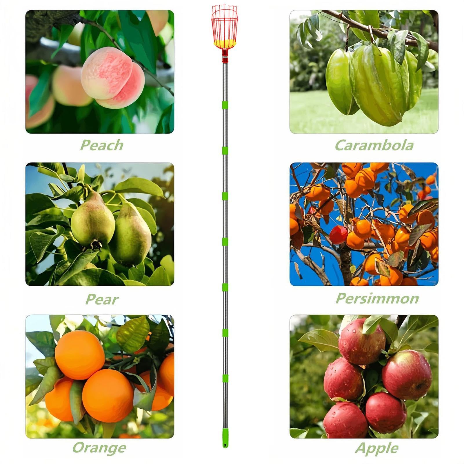 Obstpflücker - 8 Verlängerungsstäbe Obstpflücker Pol Mit Korb