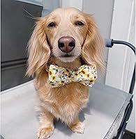 Vista 3 de Lionheart glory Collar de perro con pajarita, collar de perro con estampado de girasol para perros hembras o machos, suave, duradero, ajustable