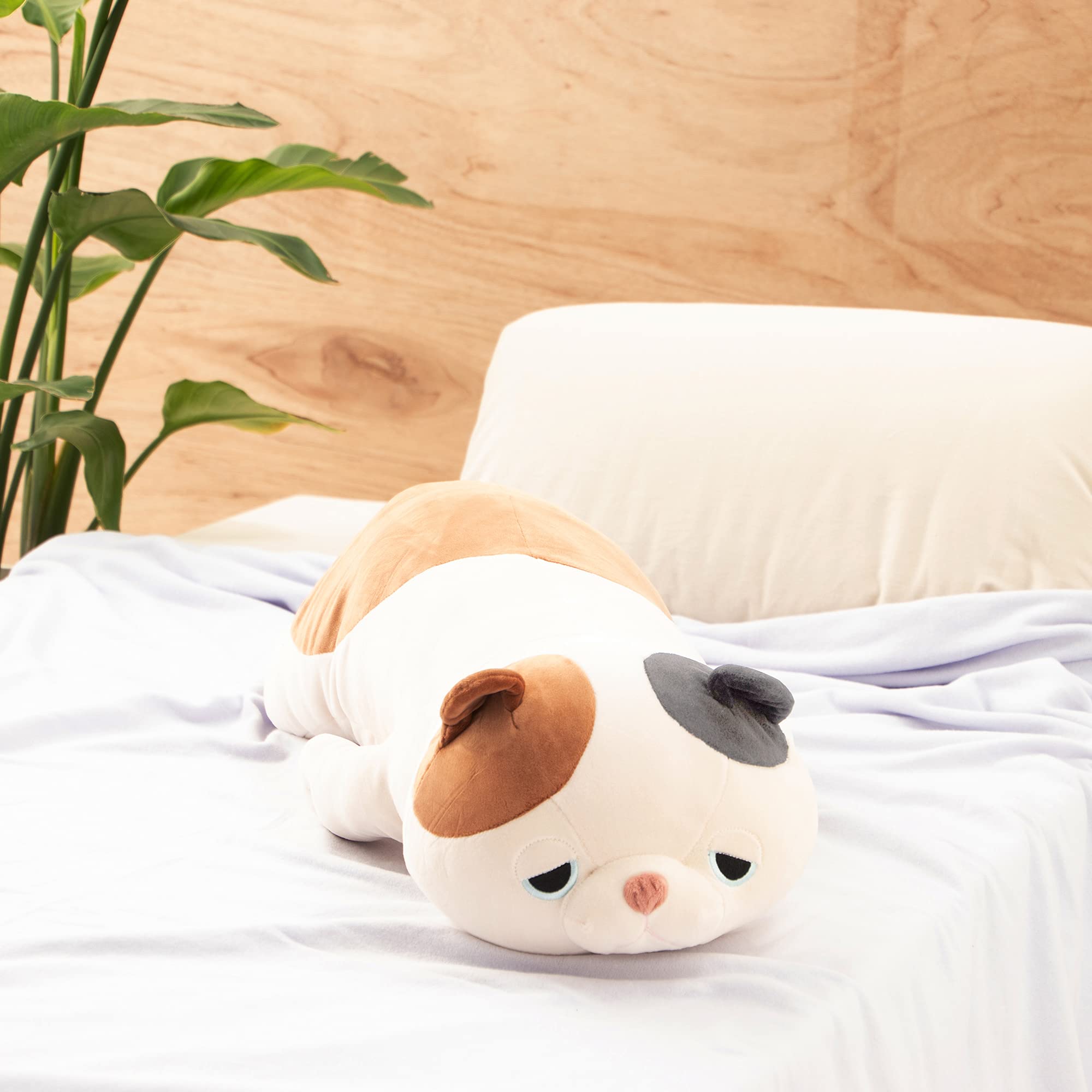 Amazon｜LIV HEART りぶはあと 抱き枕 プレミアムねむねむアニマルズ