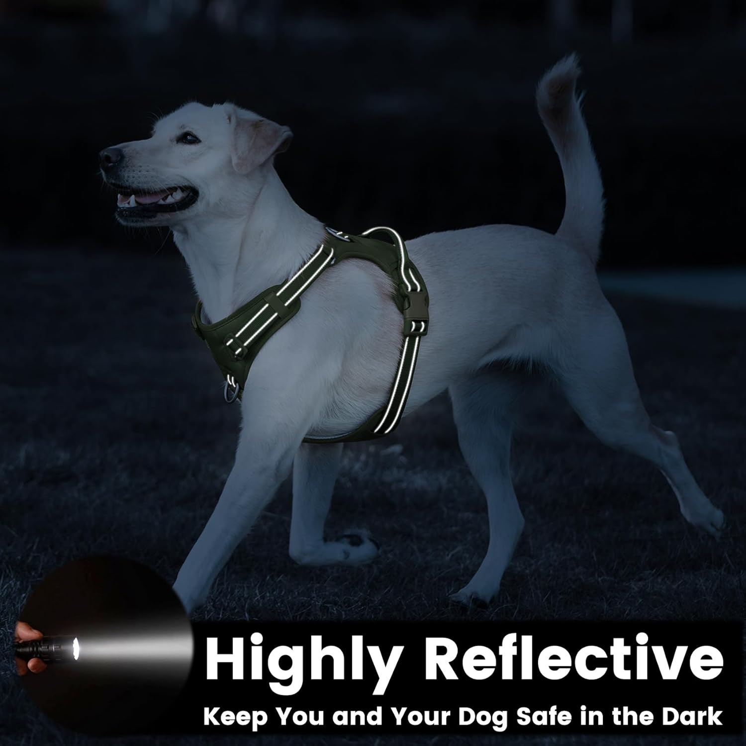 No Pull Dog Harness, Reflective Puppy Vest for Small Medium Large Sized Dog (Misty Green,M)