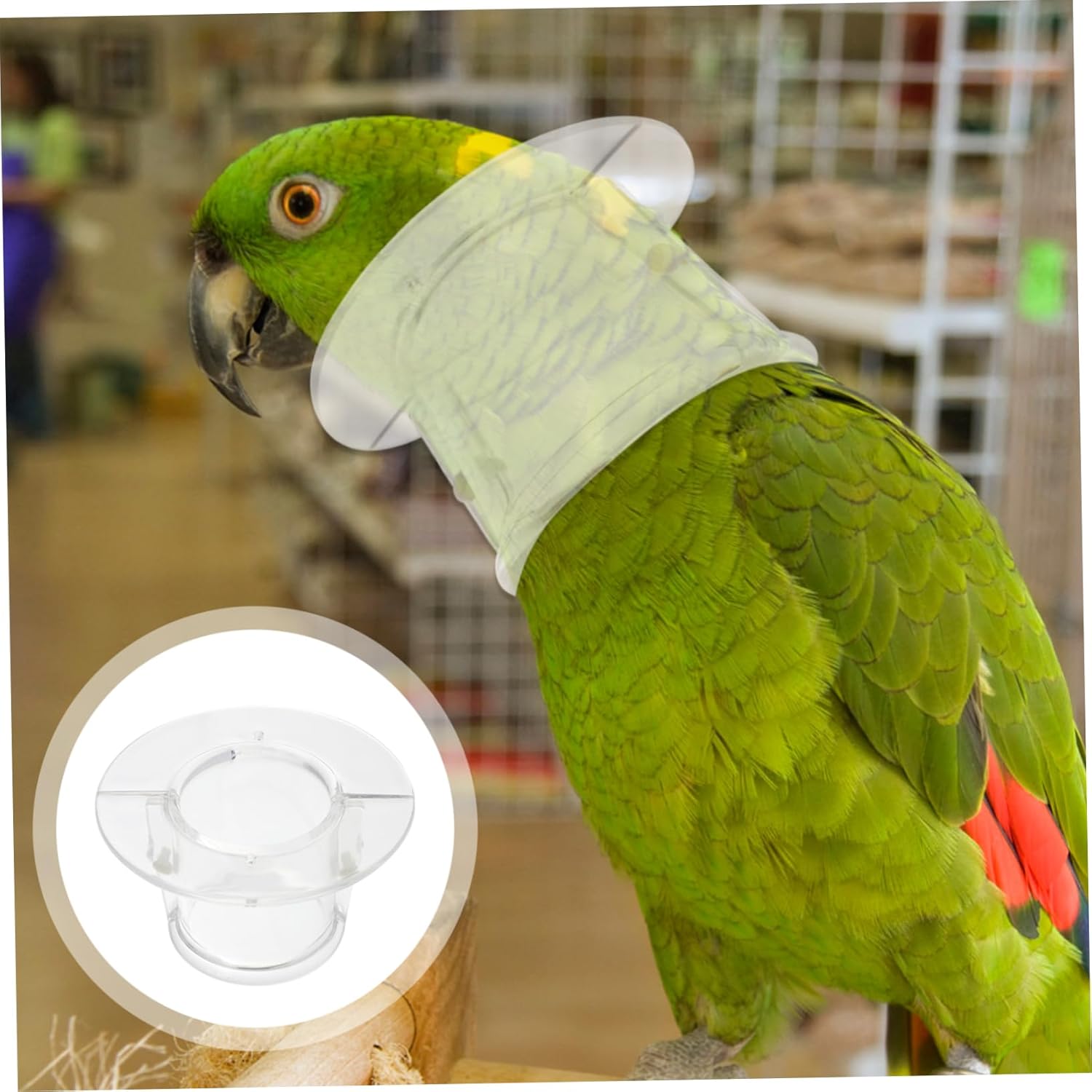 BESPORTBLE 10pcs Parrot Plucking Collar Bite Collar for Macaws Cockatoos Bird Supplies