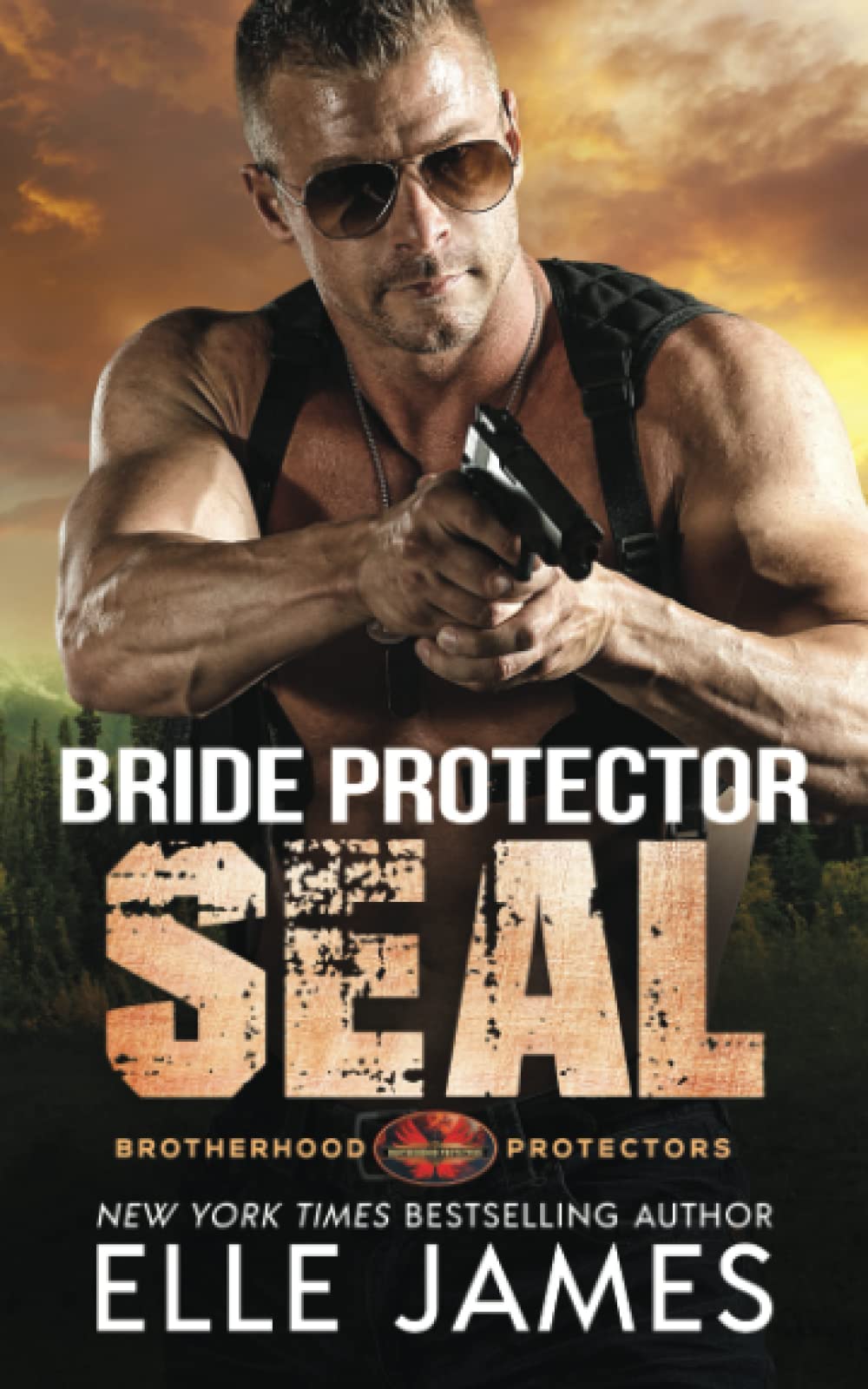 Bride Protector SEAL: Volume 2 (Brotherhood Protectors)