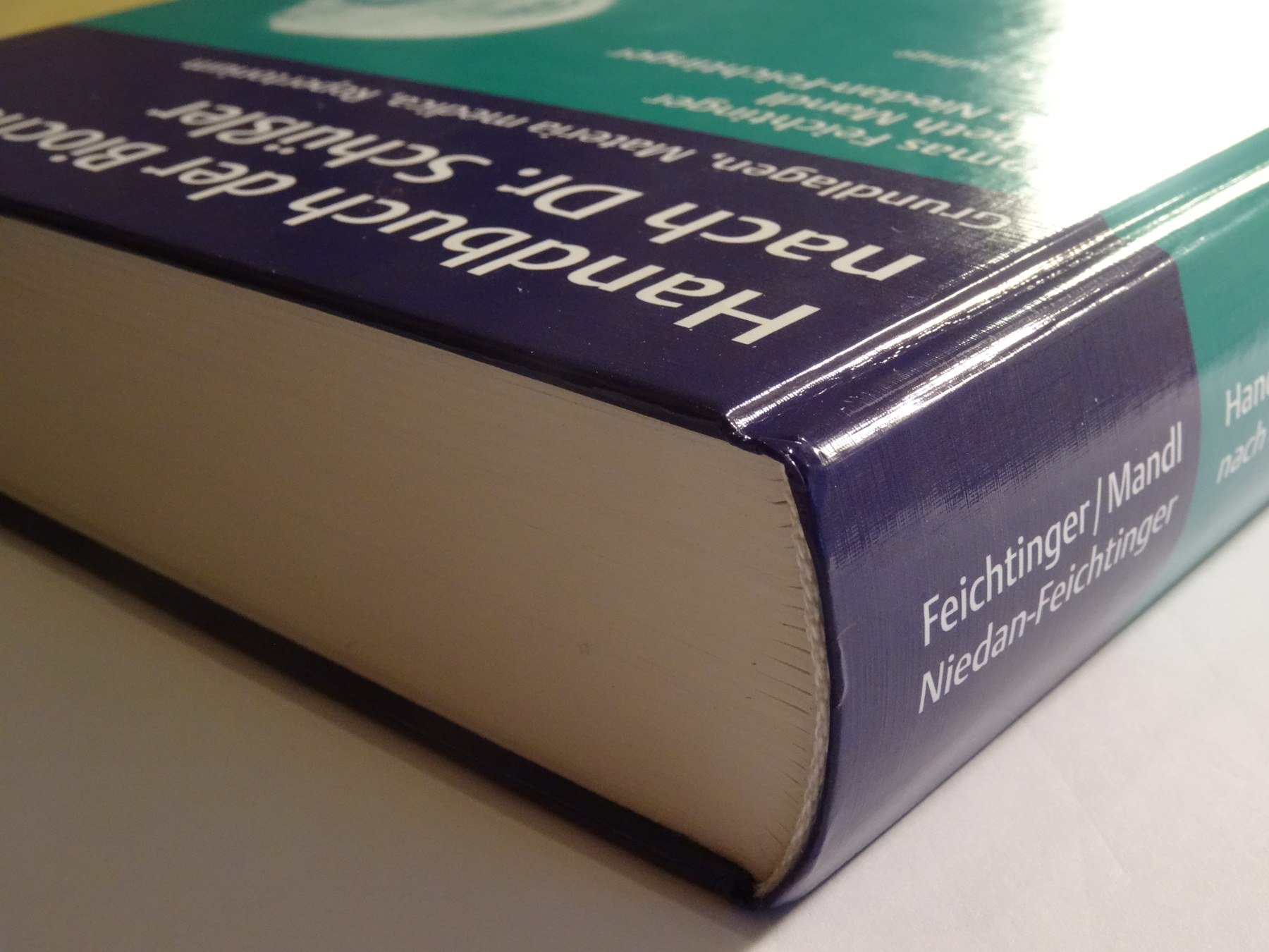 Handbuch der Biochemie nach Dr. Schüßler: Grundlagen, Materia medica, Repertorium