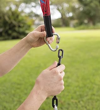 Amazon.com: HearthSong 2-in-1 BungeeBounce Tree Swing for