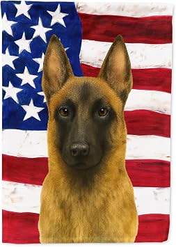 Carolines Treasures Belgian Malinois American Flag Garden Flag Mailbox Flag Decorative Yard Flag Banner Outside Patio Artwork Yard Flower Beds, Garden Size, Multicolor