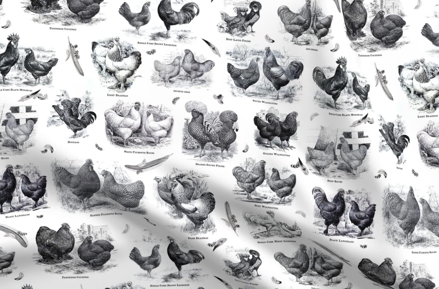 Spoonflower Fabric - Poultry White Black Toile Victorian Vintage Birds Antique Farmhouse Printed on Petal Signature Cotton Fabric Fat Quarter - Sewing Quilting Apparel Crafts Decor