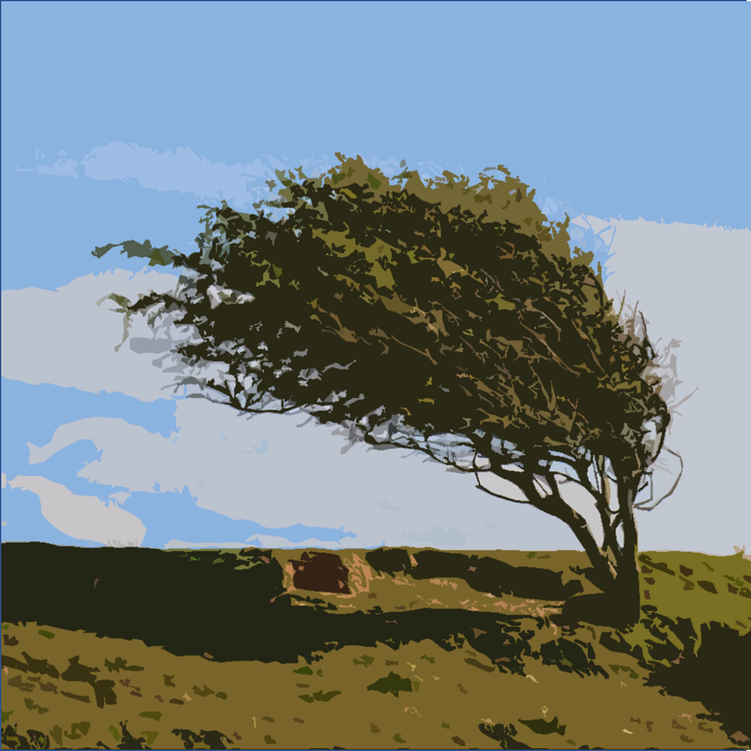 Wide Array of Soothing White Noise