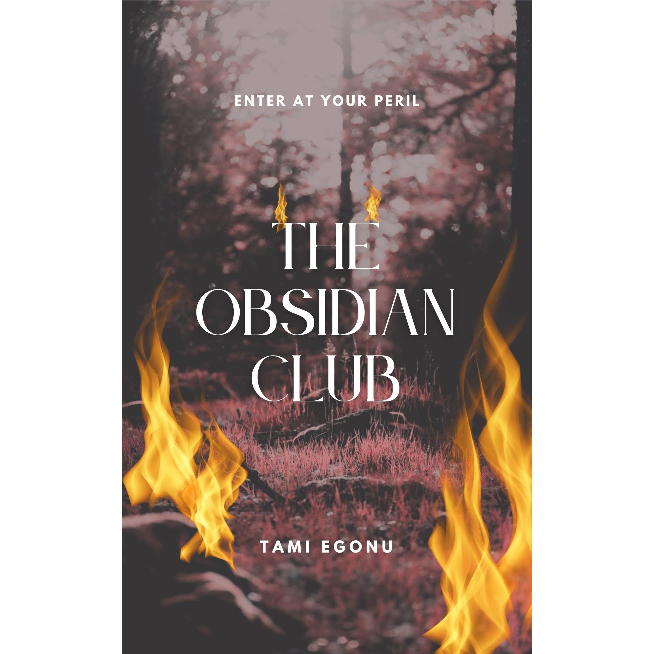 The Obsidian Club