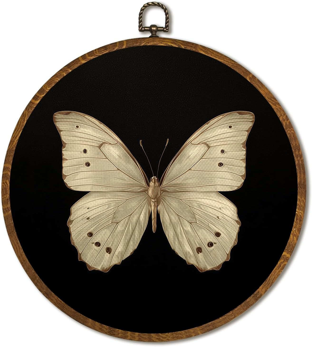 Vintage Wall Art 10x10 Inch, Round Framed Canvas Print of Vintage Butterfly & Moths, Dark Moody Circular Wall Art Decor for Living Room, Bedroom, Neutral Retro Artwork (Black)