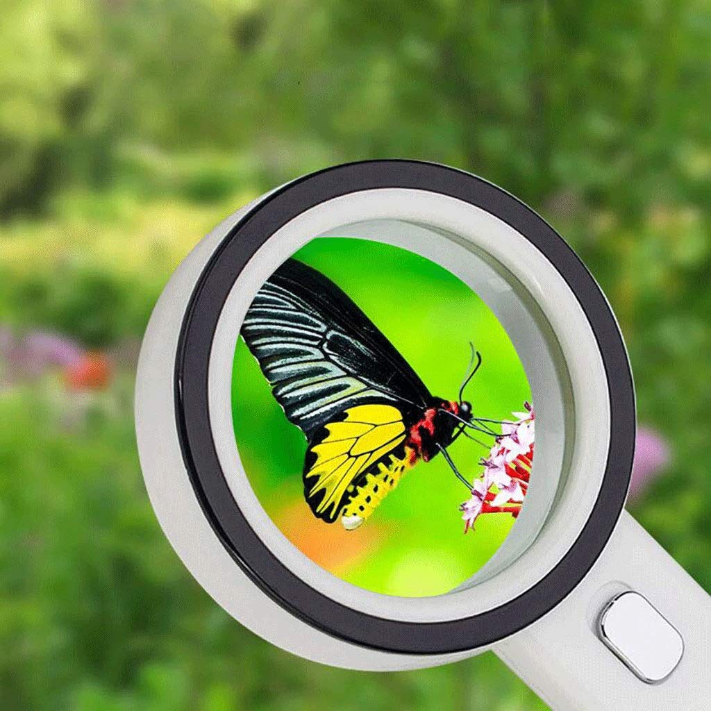 Lente d'Ingrandimento con luci - Ideale per Leggere, Riparare Gioielli e Orologi - Impugnatura ergonomica per Una Presa Comoda - Leggera