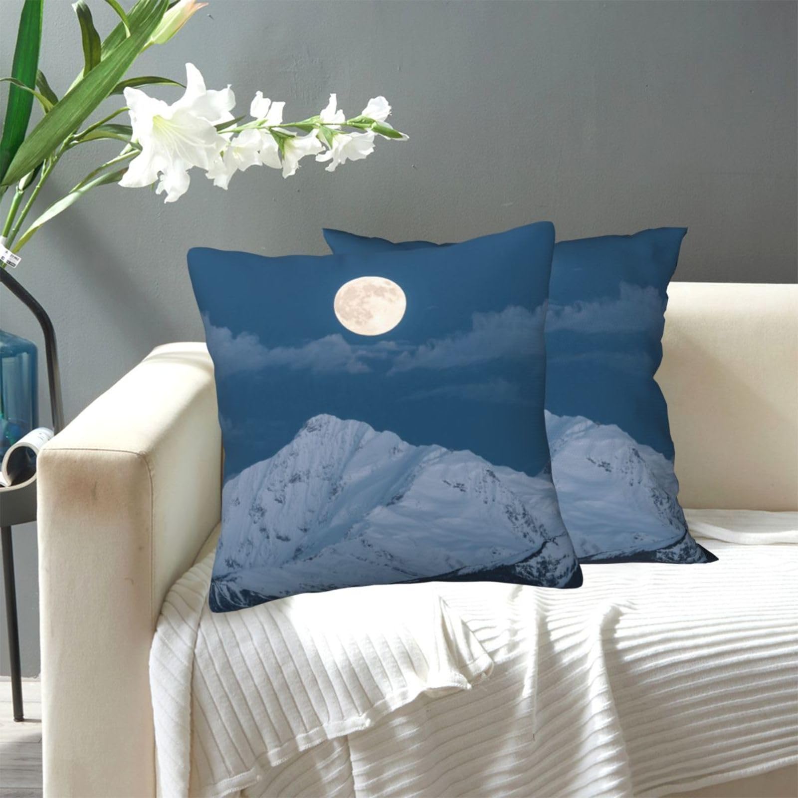 FekiLoot Decorative Throw Pillow Covers Modern Farmhouse Pillowcase Double Sided Cozy Cushion Cover for Sofa Couch Bed 18"X18" Moon