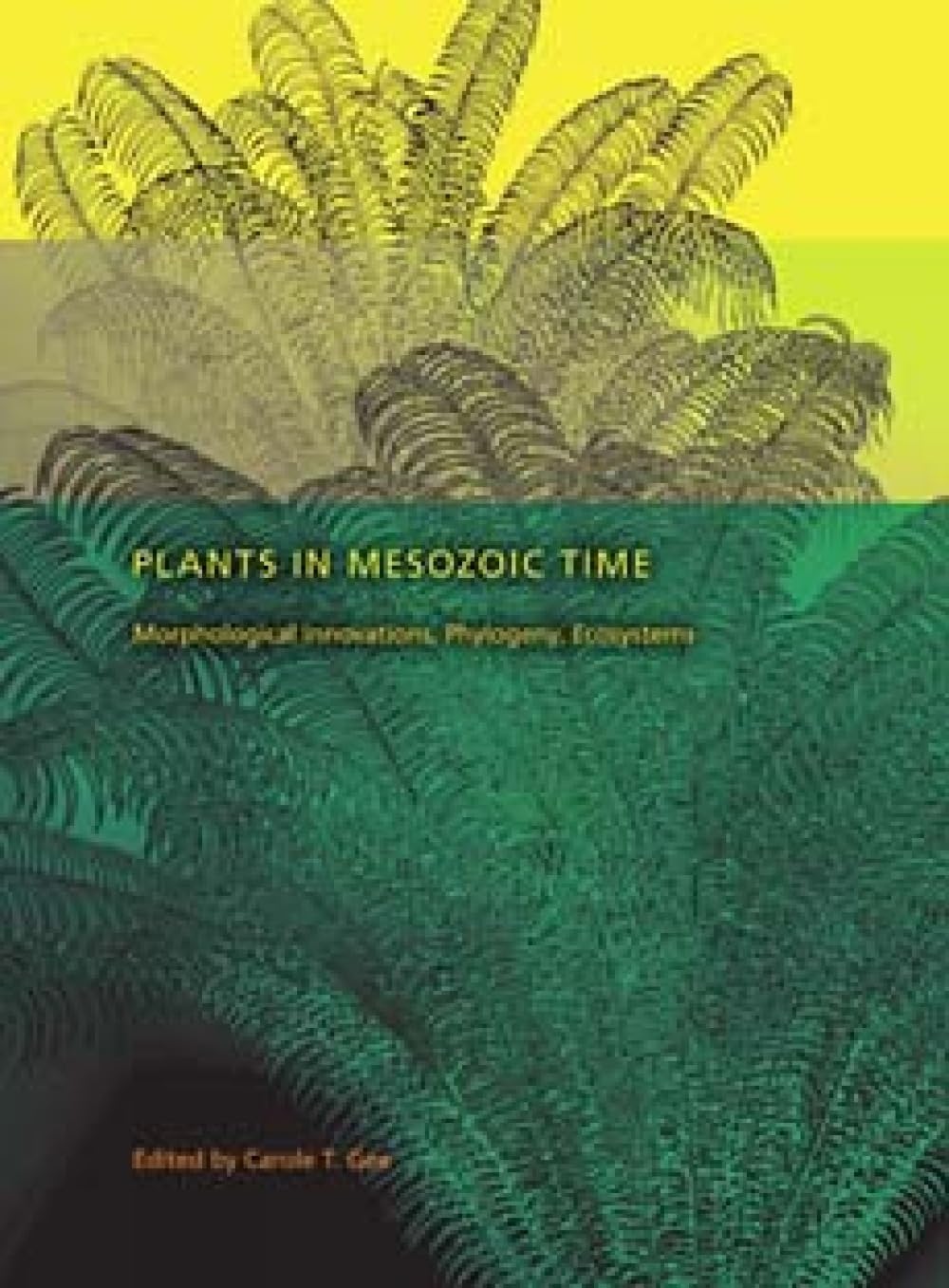 Plants in Mesozoic Time: Morphological Innovations, Phylogeny, Ecosystems (Life of the Past)